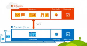 微軟宣布年底前發布SharePoint Server 2016，推動企業辦公平臺升級